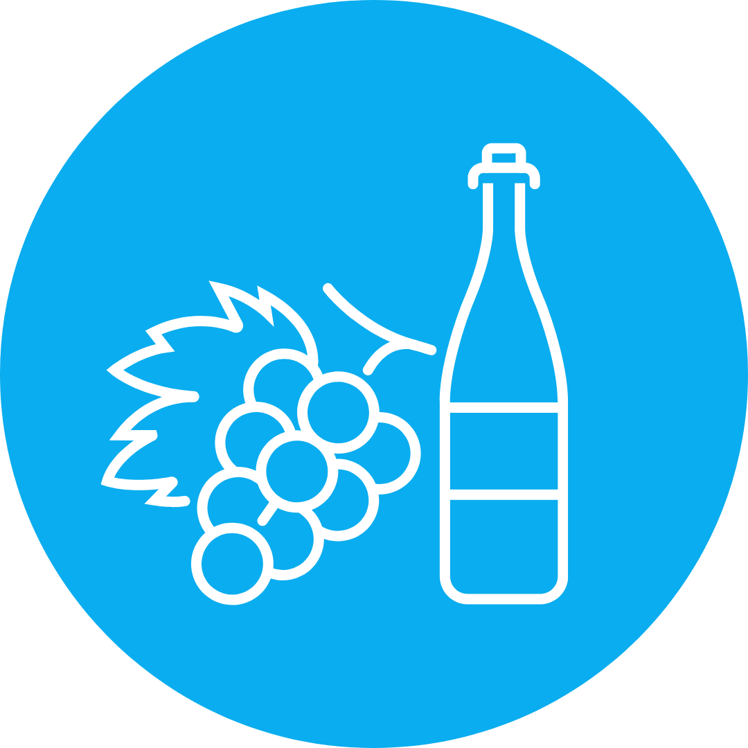 A bottle of wine and grapes icon